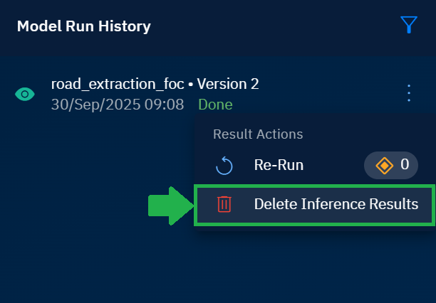 Viewing AI Model Run History