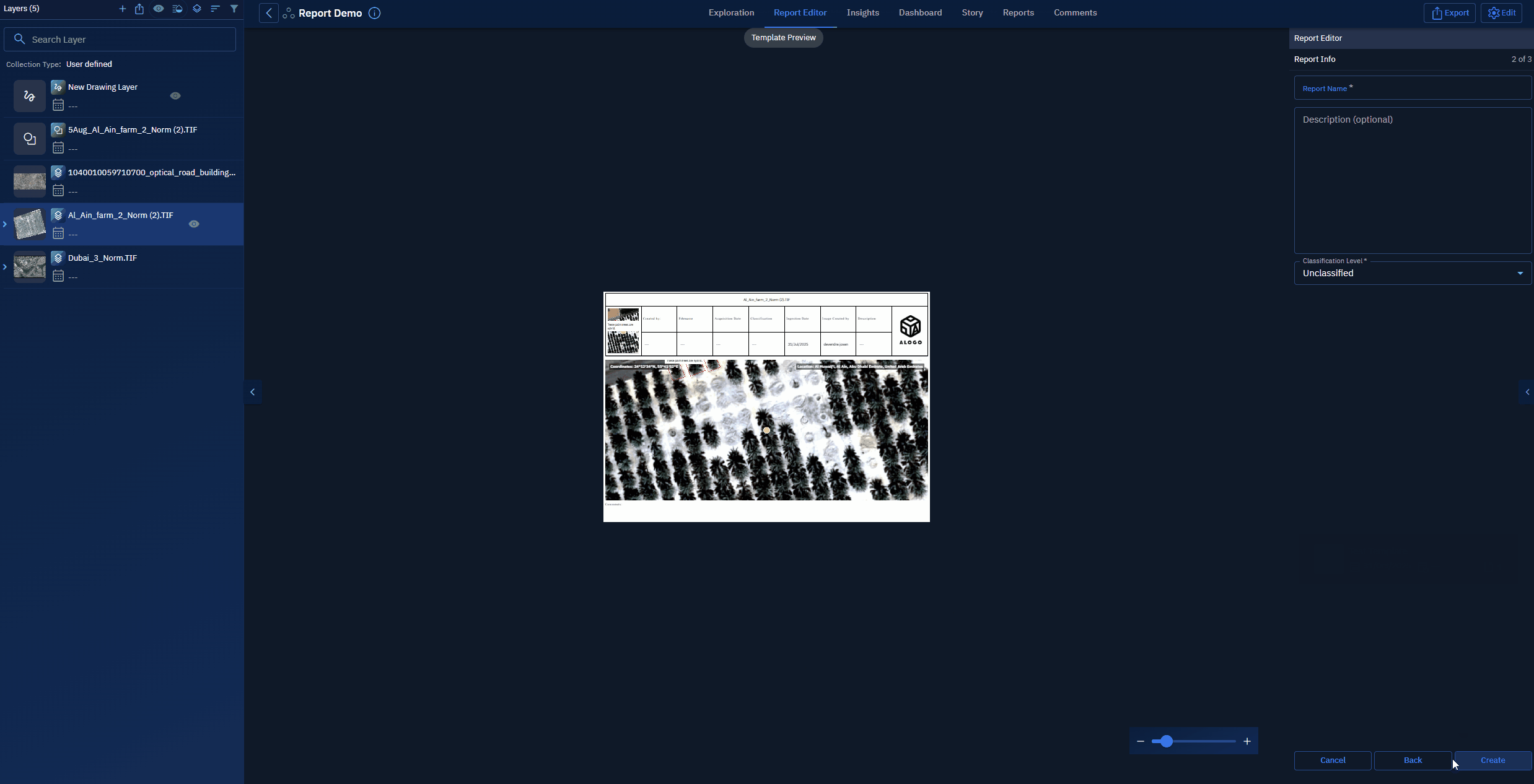 Type report name and categorize the report